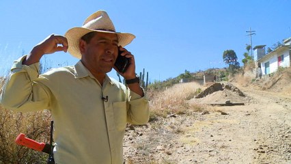 Mexico cracks down on cheap mobile phone network