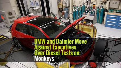 BMW and Daimler Move Against Executives Over Diesel Tests on Monkeys