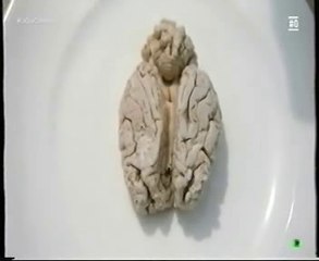 Alaska: Comer animales atropellados en carretera