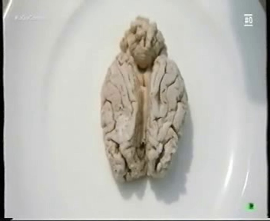 Alaska: Comer animales atropellados en carretera