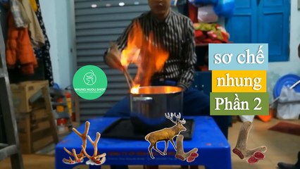 [ NhungHuouShop.com] Cách Sơ Chế Nhung Hươu Tươi Ngâm Rượu Phần 2