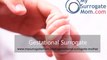 Gestational Surrogacy - My Surrogate Mom