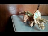 origami 3d triceratops