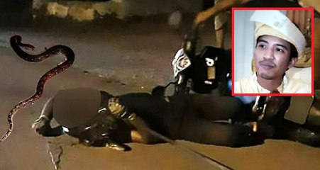 Yol Kenarında Gördüğü Pitonu Motosikletine Aldı, Sonunu Kendi Elleriyle Getirdi