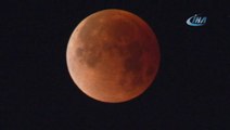 Süper Kanlı Mavi Ay Tutulması' Los Angeles'da İzlendi