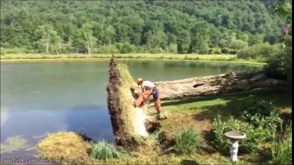 The Best Employees! - Funny Fails at Work, Bad Workers Compilation!