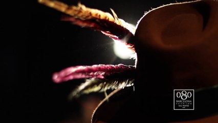 Backstage Sweet Matitos Gener 2018