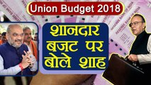 Union Budget 2018: Amit Shah Praises Arun Jaitley Budget