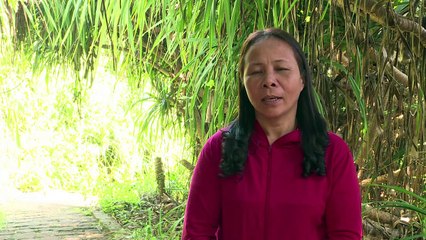 Vietcong-Tunnel locken heute Touristen an