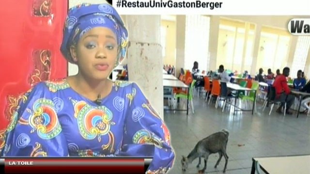 Petit Dej (1er fév. 2018) - La Toile : L’actualité qui fait le buzz sur les réseaux sociaux