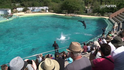 Dauphins : Planète Sauvage respire