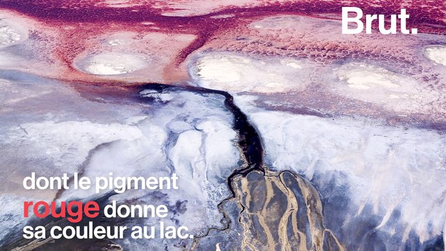 En Tanzanie, le lac Natron est menacé