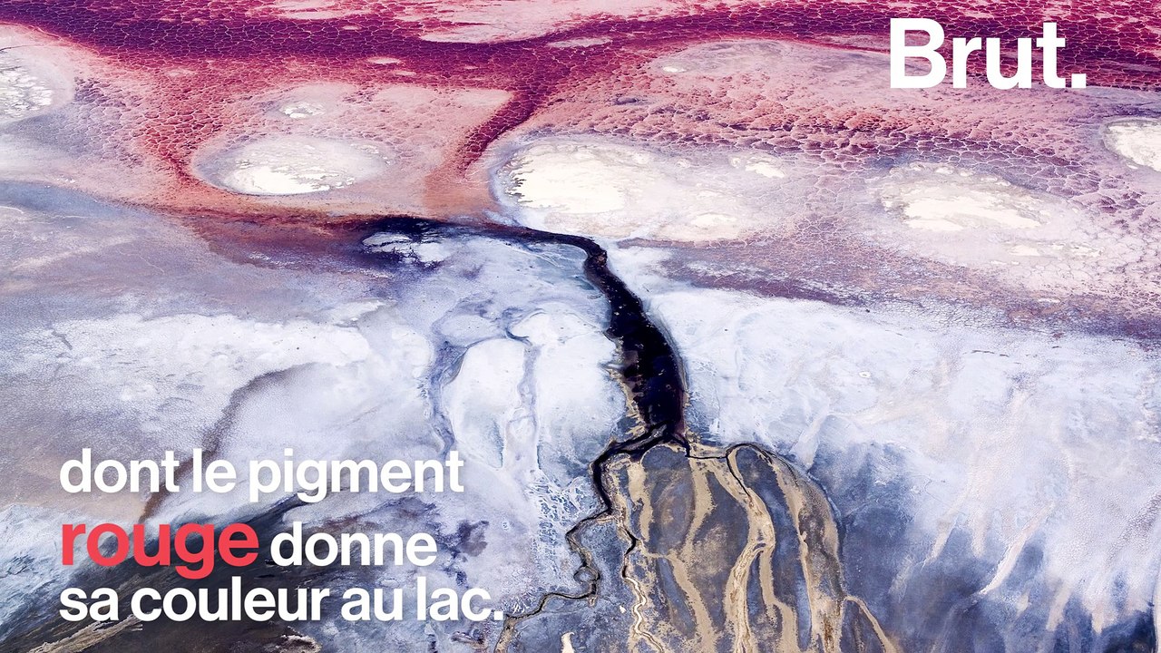 En Tanzanie, le lac Natron est menacé