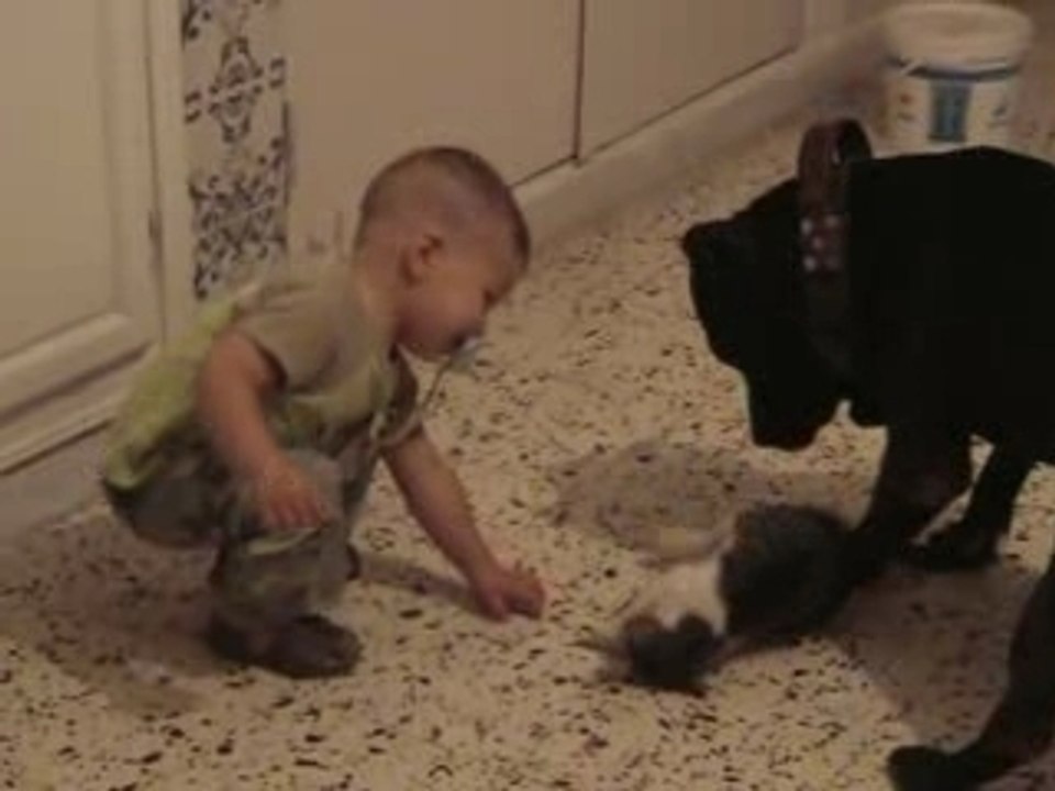 Sabri malcolm et chaton