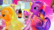 My Little Pony Princess Cadance, Shining Armor , Baby Flurry Heart Birthday + Surprise Blind Bags