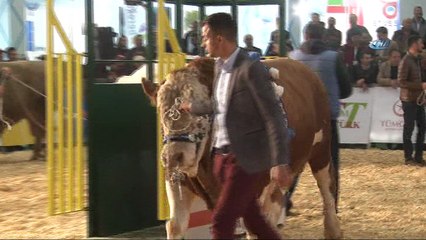 Bakan Fakıbaba’dan kadınlar ve gençlere yönelik proje müjdesi