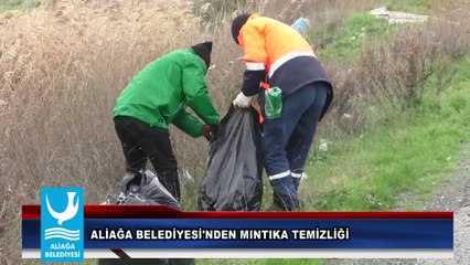 ALİAĞA BELEDİYESİ'NDEN MINTIKA TEMİZLİĞİ