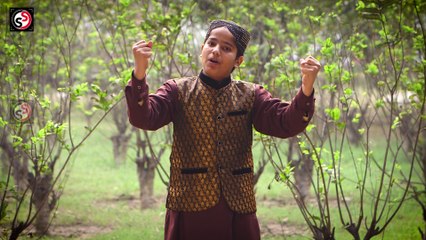 Data Ali Hajvairi Menu Taar Dita Aye-Manqabat NEW -  Jawad Ahmad Naqshbandi