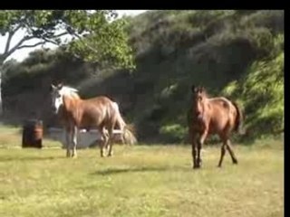 Fin de journée Ouano-wmp