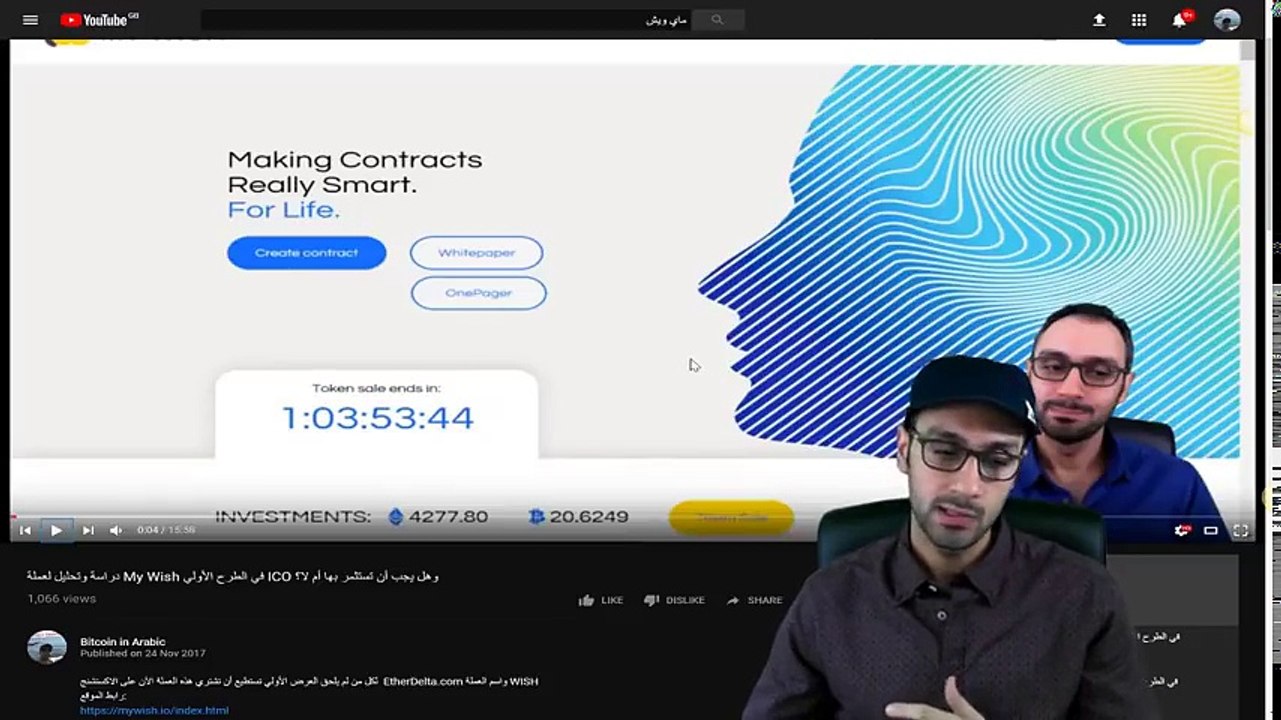 Fluz Fluz تقييم عملة فلزفلز في الطرح الأولي ico