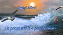 Luigi Mitoi - Un pacat mic dar o paguba mare, sa fie asa?