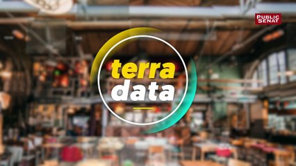 Terradata : des chiffres sur le #veganisme