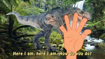 Finger Family Shark VS Gorilla King Kong And Dinosaurs Nursery Rhymes For Children