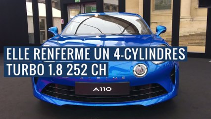 L'Alpine A110 et la Mazda Vision Coupé deviennent reines de beauté