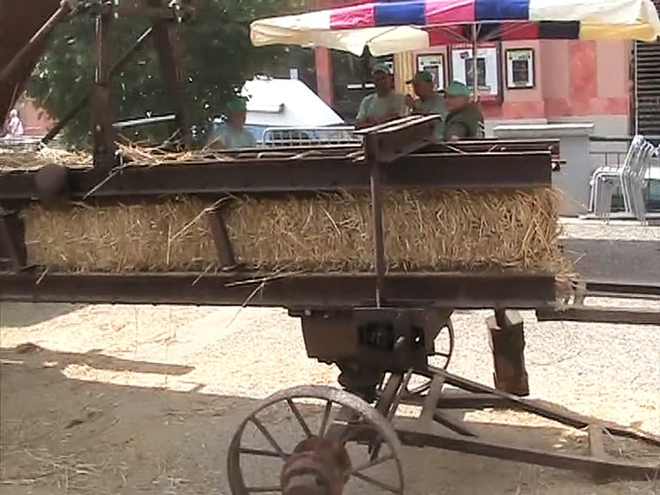 Lavelanet-Travaux agricoles (2)