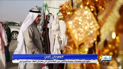 حضور كبير وفعاليات منوعة وتنافس بين المشاركين في مهرجان الملك عبدالعزيز للإبل