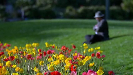 videos cortos    10 segundos