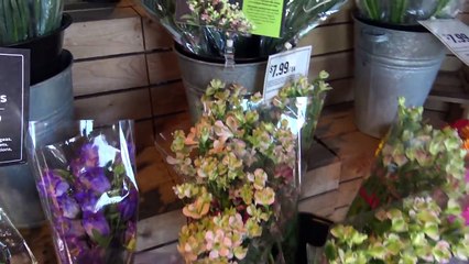 FIRST MINI VLOG // M&C