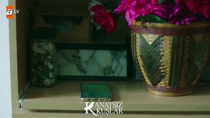 Zeynep’i huzursuz etmeyi başaran Kartal! - Kanatsız Kuşlar 32.Bölüm