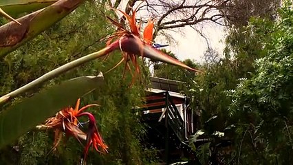 ‘Alaskan Bush’ Family Moves To Seattle After Mom Ami’s Cancer Recovery Miracle