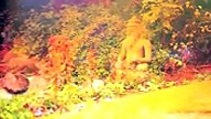 WELCOME TO THE AYURVEDA EXPERIENCE by El Secreto De Feriha Emir -, tv Hd series 2018 Movies - 1