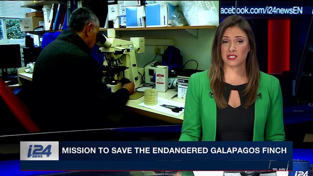 PERSPECTIVES | Mission to save the endangered Galapagos finch | Thursday, February 1st 2018