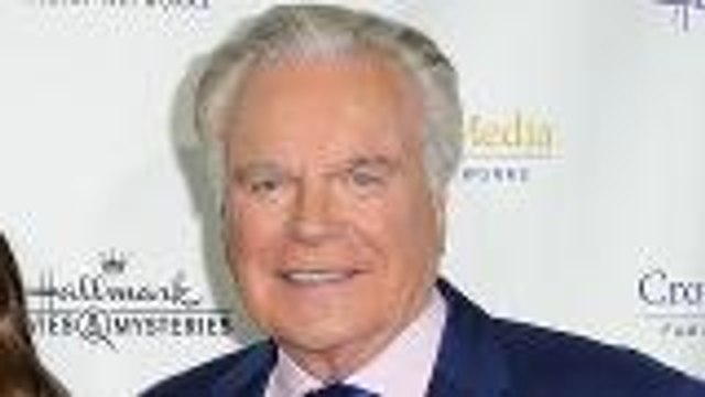 Natalie Wood: Robert Wagner Named Person of Interest in Her Mysterious Death | THR News