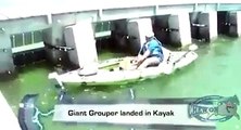 Un pecheur en kayak a énormément de mal à remonter sa prise : énorme mérou géant