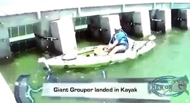 Un pecheur en kayak a énormément de mal à remonter sa prise : énorme mérou géant