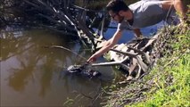 Ce taré essaie de mettre des lunettes à un crocodile ! Dangereux comme challenge