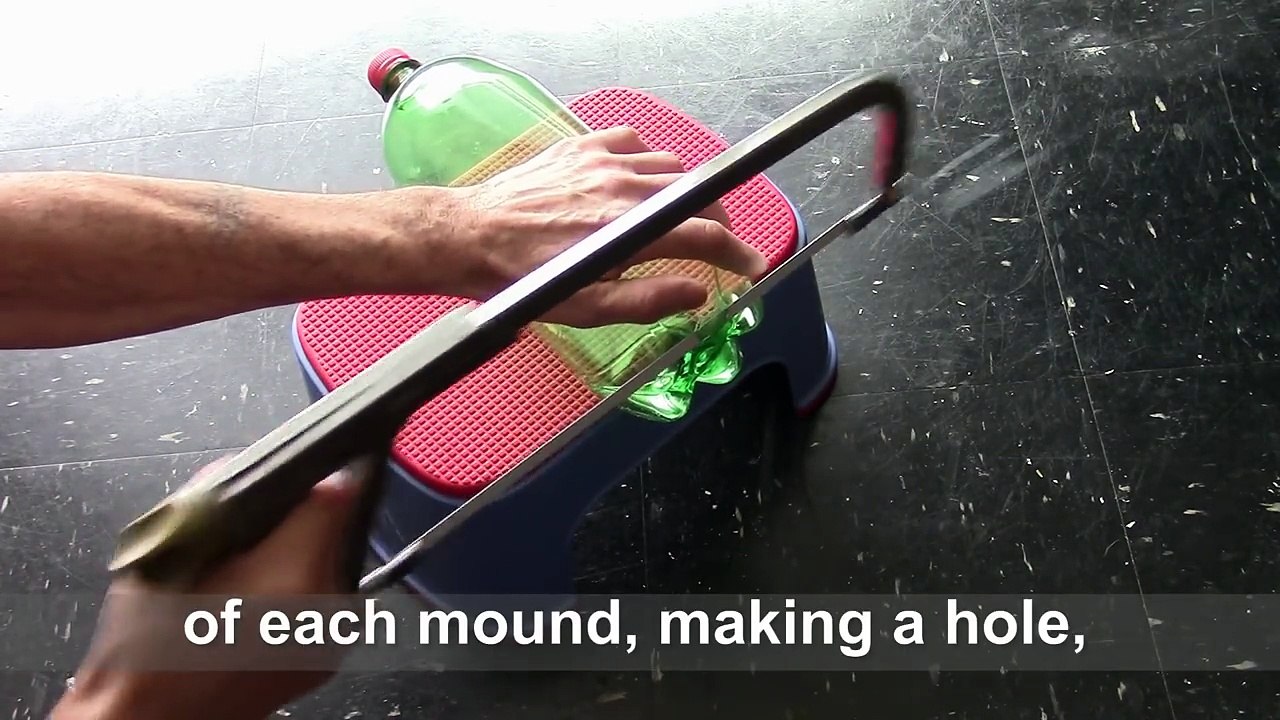 Aquaponics planter of plastic bottle DIY