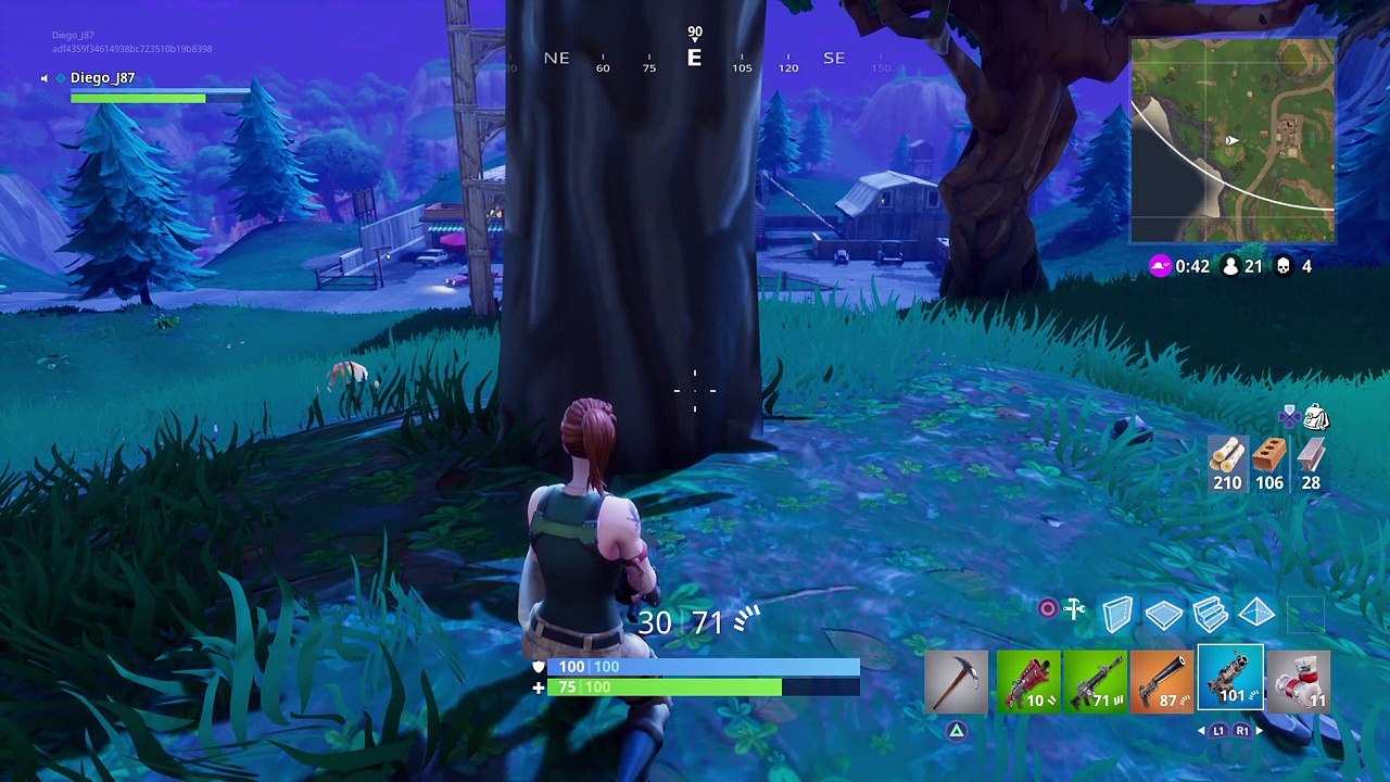 Fortnite 2e:(