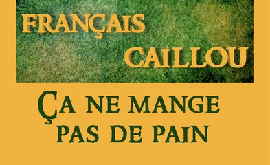 Français caillou/ Définition du jour: "Ça ne mange pas de pain"