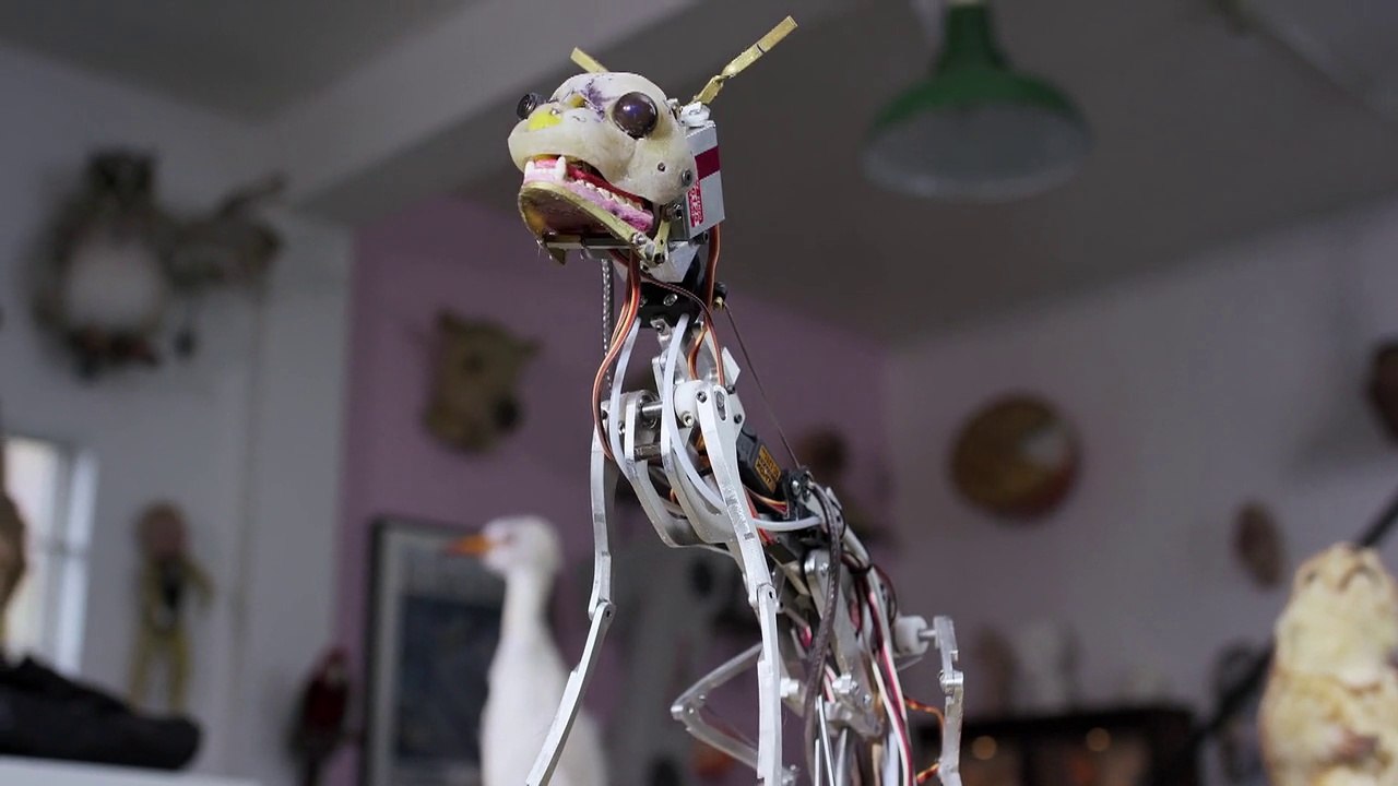 BBC  Шпионы в дикой природе Знакомство со шпионами (2018) HD