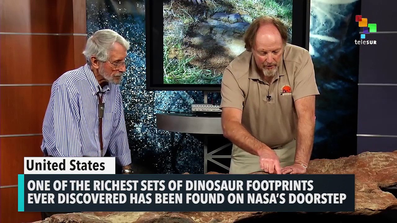 New Dinosaur Prints Discovered
