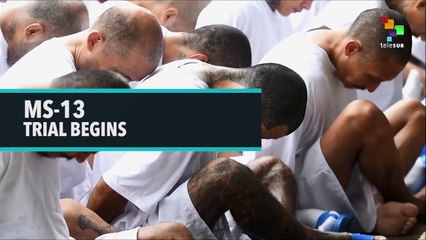 MS-13 Trial Kicks Off ⚖️