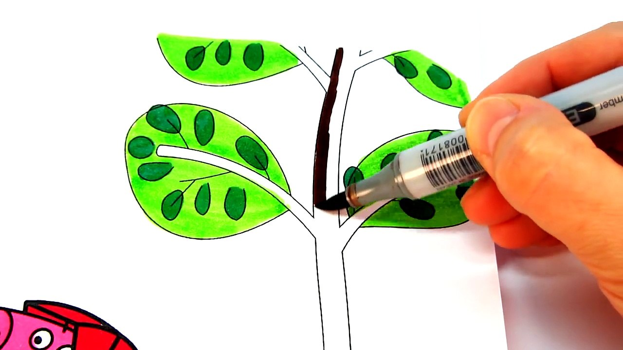 Peppa Pig with Little Baby George in Baby carriage Coloring Book Pages with Colored Markers