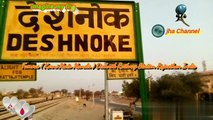 Famous (Karni Mata Mandir) Deshnok Railway Station Rajasthan India ✴✴☘✴✴ Imagine my first Life