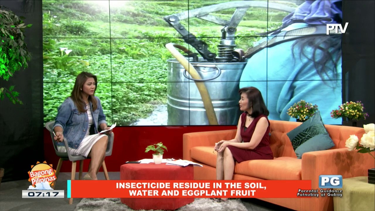 ON THE SPOT: Insecticide residue un the soil, water, and eggplant fruit