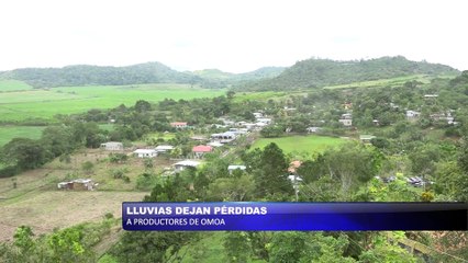 Lluvias dejan perdidas a productores de Omoa